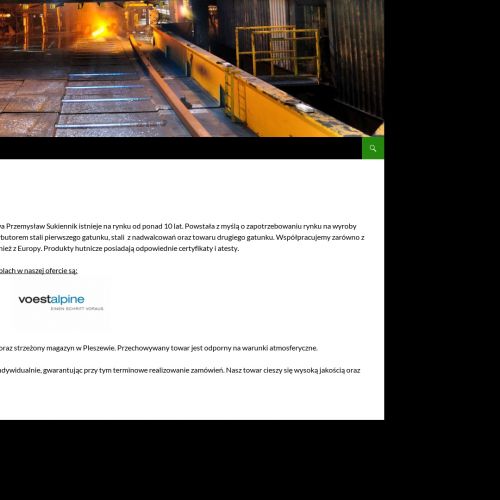 Taśmy gorącowalcowane - Pleszew