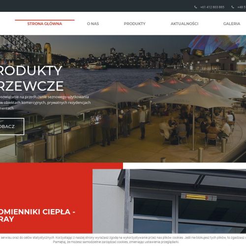 Elektryczne promienniki podczerwieni