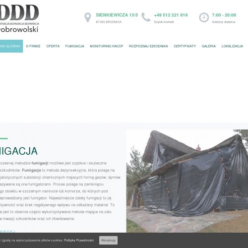 Jak pozbyć się karaluchów - Brodnica