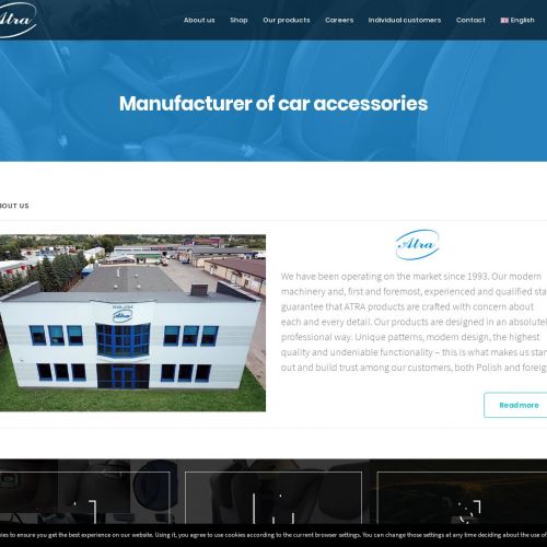 Mata do przewozu psa w samochodzie