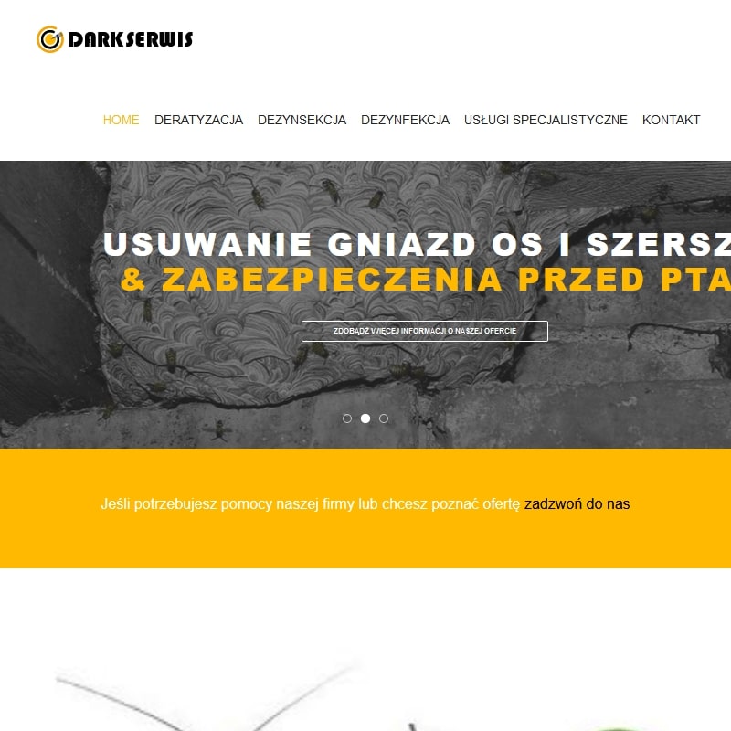 Dezynsekcja śląskie