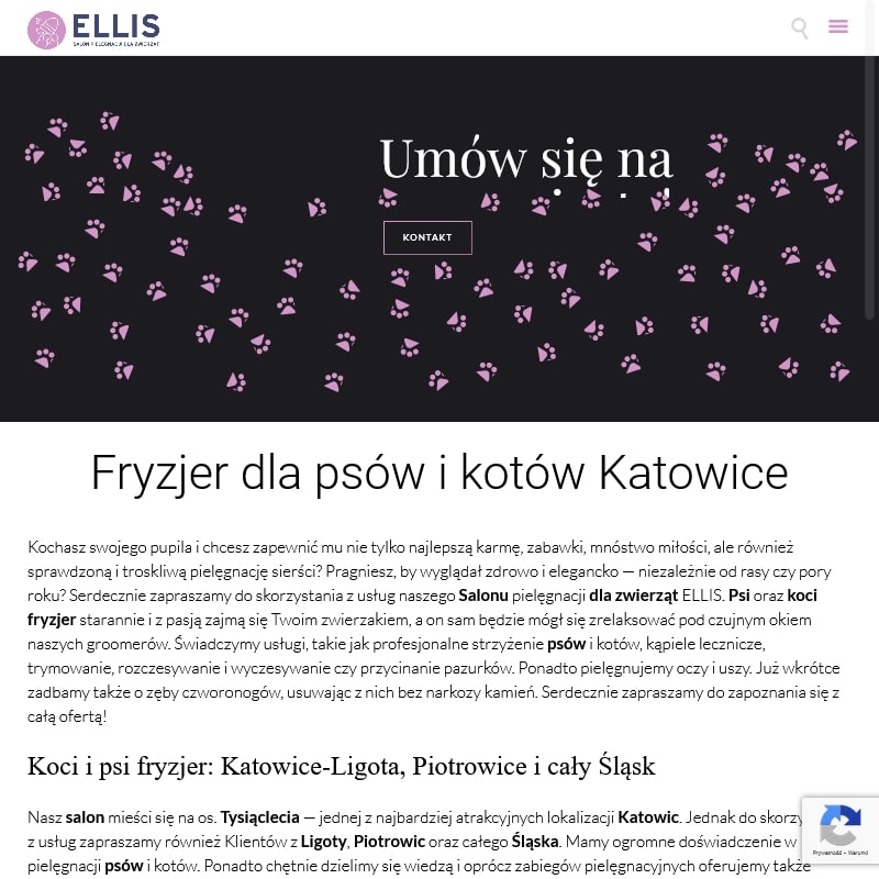 Ruda śląska - psi fryzjer katowice ligota
