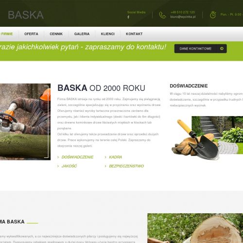 Przesadzanie drzew śląskie - Zabrze