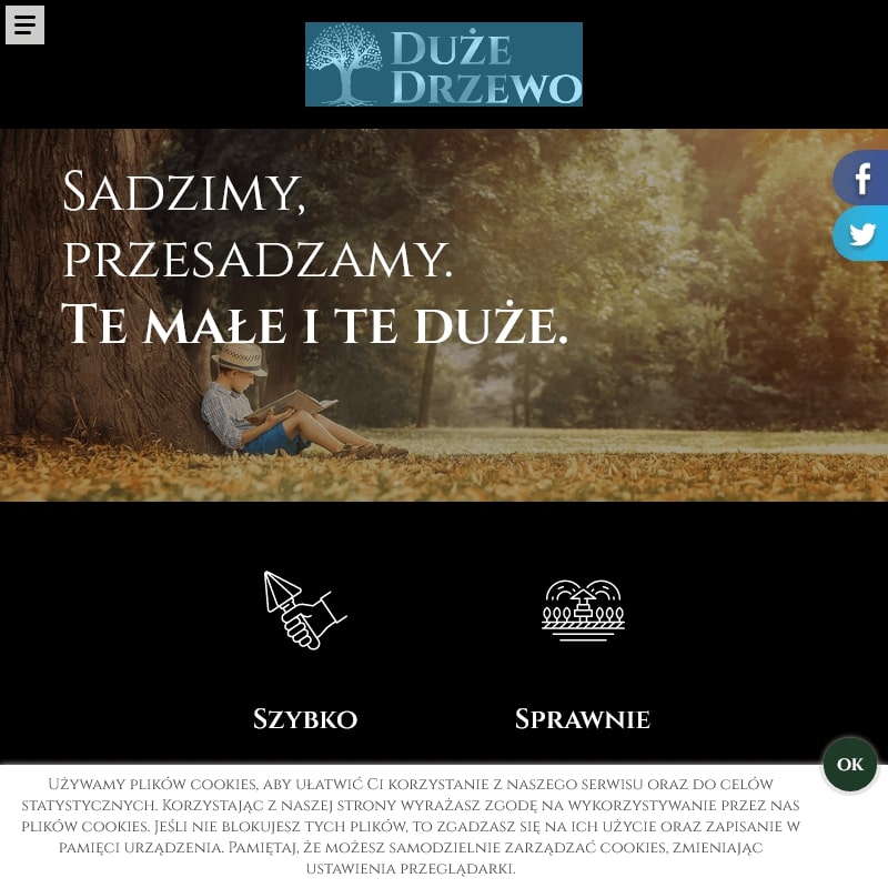 Przesadzanie dużych drzew ceny - Warszawa