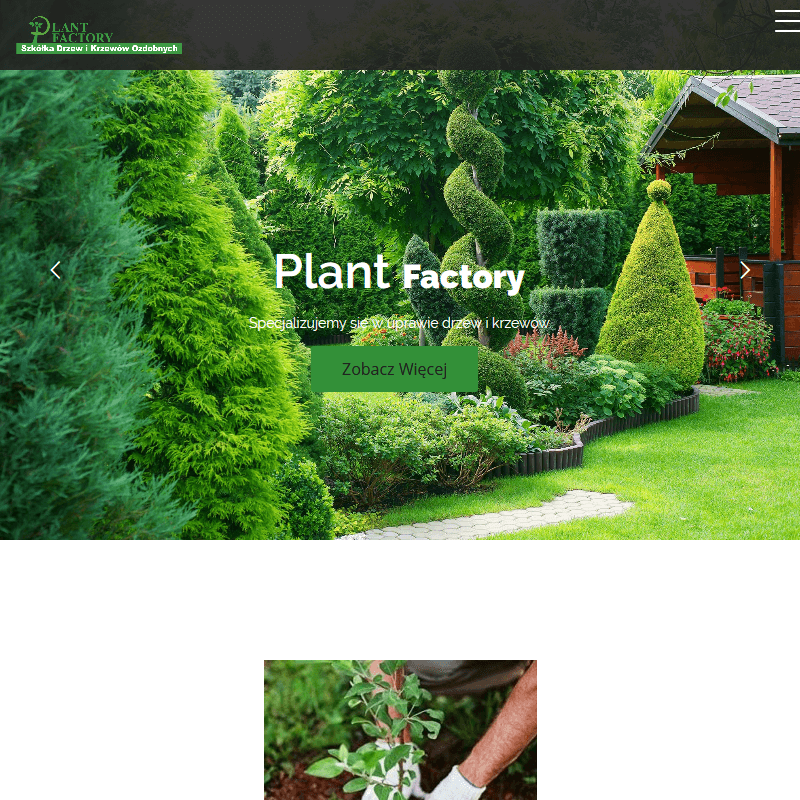 Tanie rośliny ogrodowe wysyłka w Grójcu