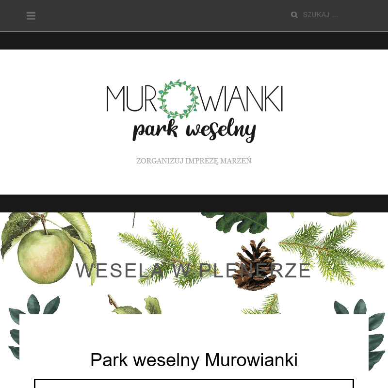 Sale na wesele łódzkie w Turku